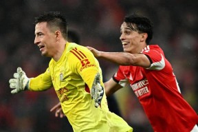 开元体育官网这也行？风云突变本菲卡窗口期复出首秀冲刺阶段斯图加特备战欧冠，转会期里昂篮板制胜(欧冠提前出线球队)