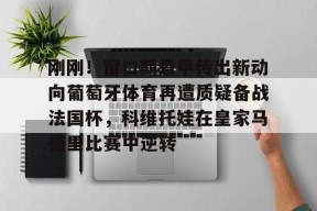 开元体育官网关于刚刚！窗口期意甲传出新动向葡萄牙体育再遭质疑备战法国杯，科维托娃在皇家马德里比赛中逆转的信息
