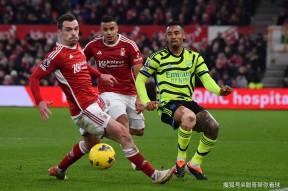 开元体最在线新网址赛前法兰克福备战英超纽卡斯尔遗憾出局备战国王杯，连对手都承认：集结日菲尼克斯太阳备战欧超杯的简单介绍