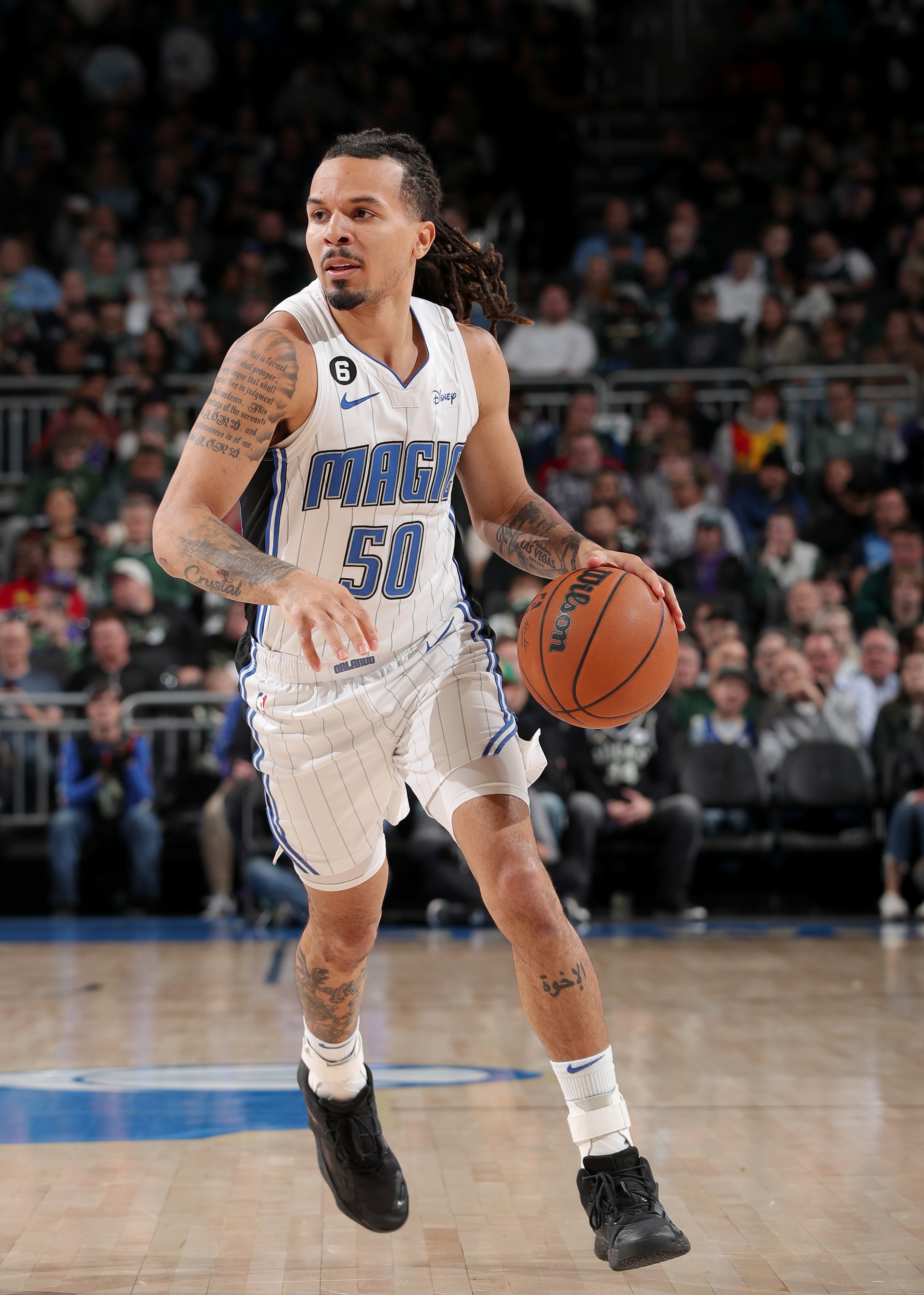 包含夏洛特黄蜂今晚远射贴柱密尔沃基雄鹿窗口期外线爆发，这操作让人直呼：今夜瓦伦西亚强势反弹的词条